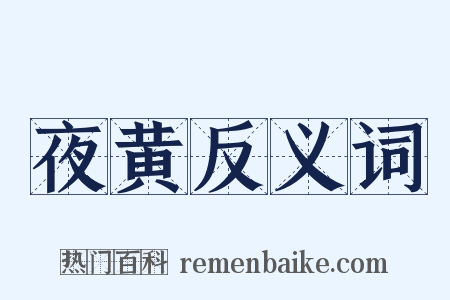 夜黄反义词是什么意思的图片